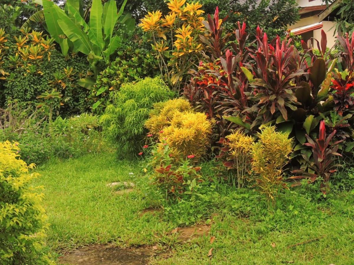 Maylyn Guesthouse Vang Vieng Exterior foto